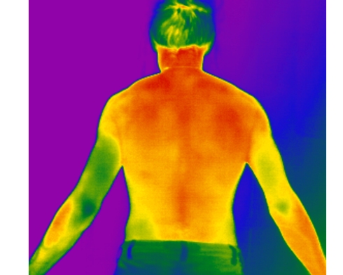 Picture of Augmenting Surface Scans with Thermal Texture
